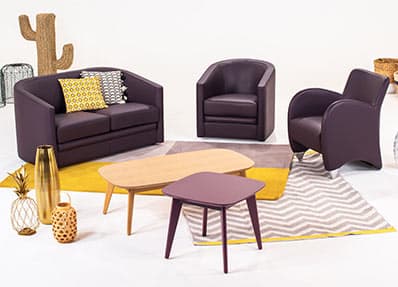 salon-meubles-neology